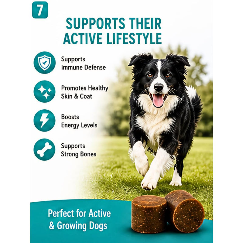 Multivitamin & Mineral Dog Chews – 60 Soft Chews, 6.3 oz – Natural Beef Flavor, Supports Immune, Skin, Coat, Heart & Overall Health