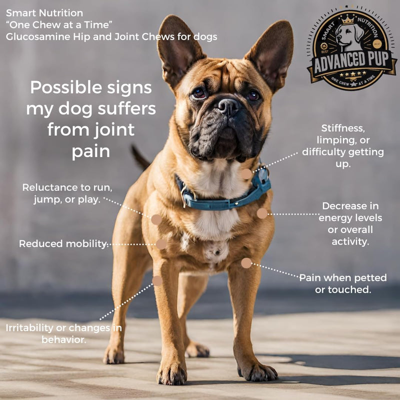 AdvancedPUP Dog Hip and Joint Supplement - Glucosamine for Dogs - Dog Hip & Joint Care with Chondroitin, MSM, & Turmeric for Dog Joint Relief - Regain Dog Mobility with Natural Tasty Bacon - 90 CT - PawsPlanet Australia