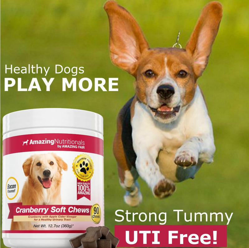 Cranberry + Probiotics for Dogs Soft Chew Bundle - UTI Prevention, Immune Support, Digestive Health, Incontinence, Gas and Diarrhea Elimination