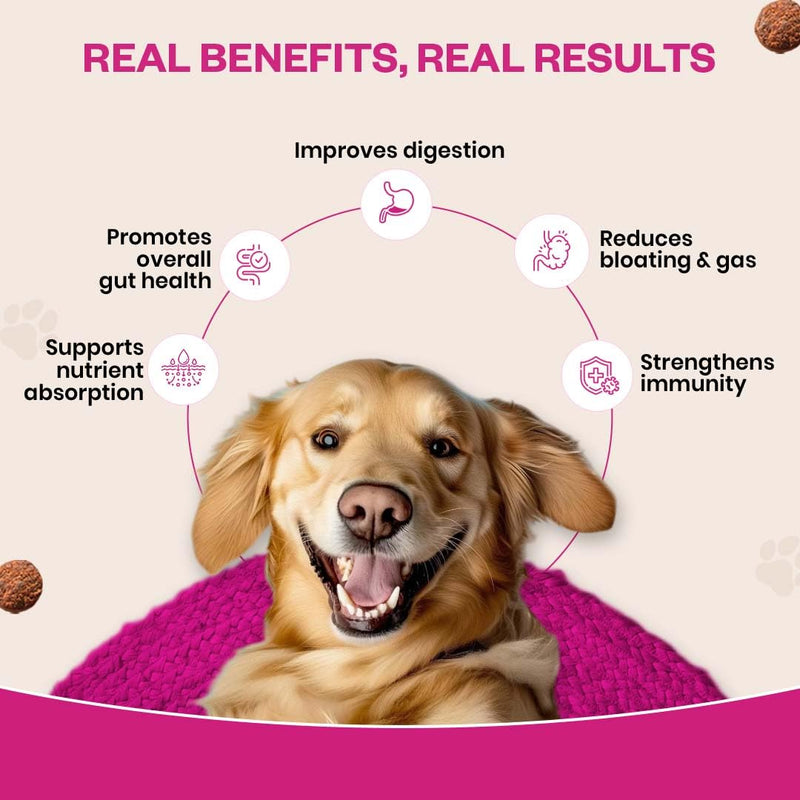 Probiotic Soft Chews Supplement for Dogs | Six Probiotic Strains for Gut Health & Digestion | Chicken Flavor | Supports Immune Function | 90 Soft Chews