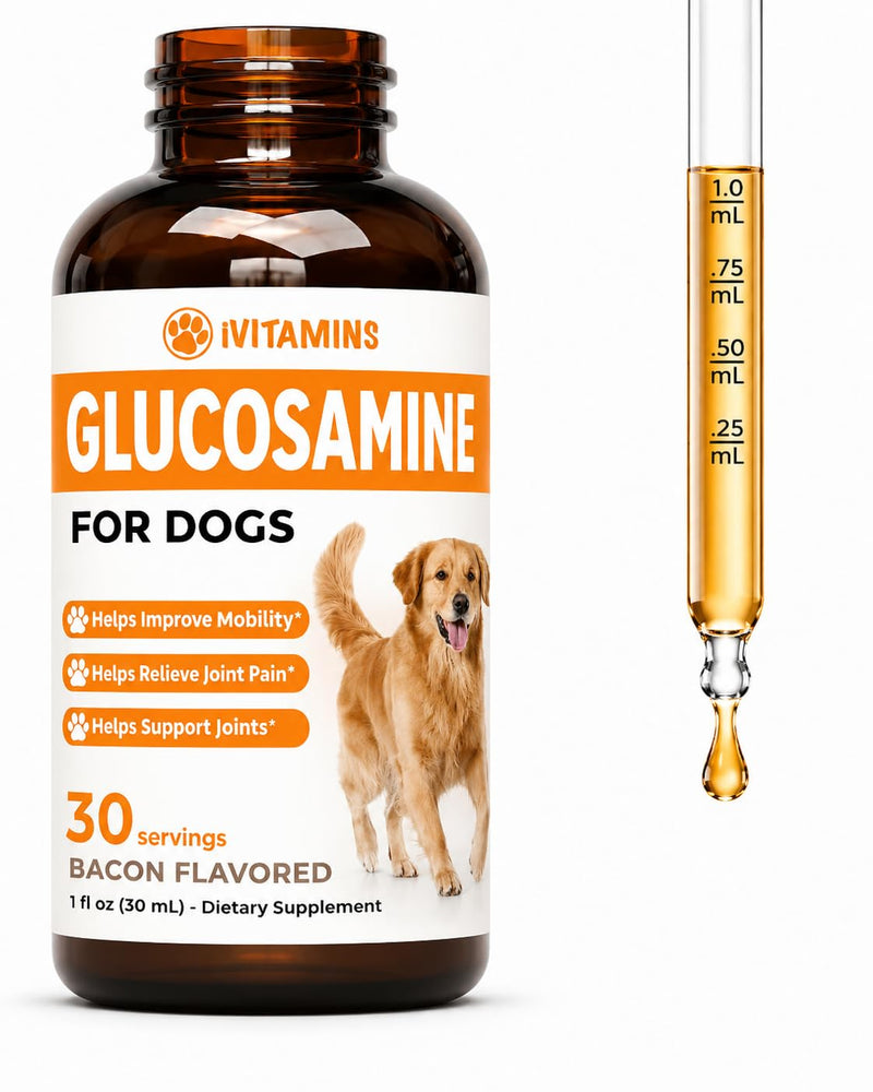 Glucosamine for Dogs - Dog Glucosamine - Supports Healthy Hips, Joints, Mobility & Much More - Dog Joint Supplement - Joint Supplement for Dogs - 1 fl oz - Bacon Flavor