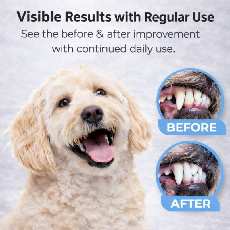 PENTHOUSE PAWS Dog Dental Wipes for Teeth Cleaning, 50 Finger Wipes for Dogs & Cats, Helps Reduce Plaque & Tartar, Fresh Breath Support, Aloe Vera & Coconut Oil, Toothbrush & Toothpaste Alternative