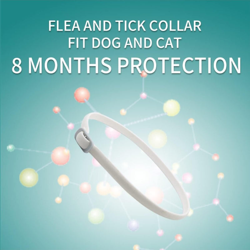 PROZADALAN Upgraded Cat Flea Collar, Cat Control Collar with Natural Essential Oils for 8 Months Protection, Flea & Tick Effectively Treatment, 35cm Adjustable & Waterproof (1pack) 1pack - PawsPlanet Australia