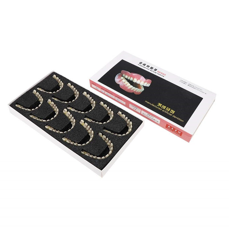 ZJchao 280pcs/10 Set Resin Denture False Teeth, Dental Teeth Teaching Model, Resin Denture for Patients with Oral Cavity Loss,Dental Supply Accessory