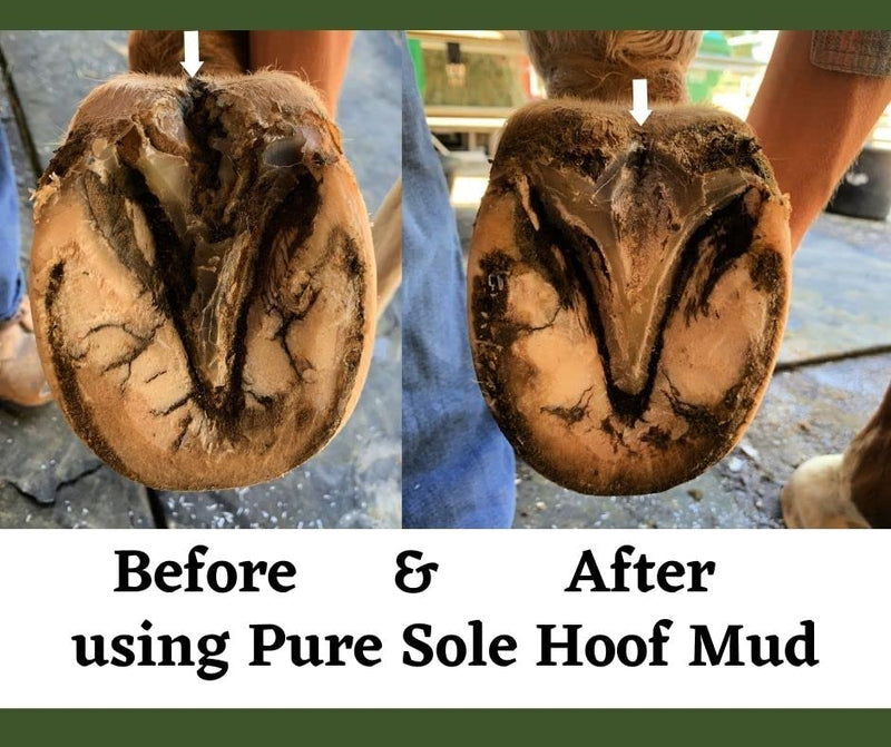 Thrush Treatment for Horses - Pure Sole Hoof Mud in 8 oz. Jar and 7 oz. Hoof Putty Wax Bundle - PawsPlanet Australia