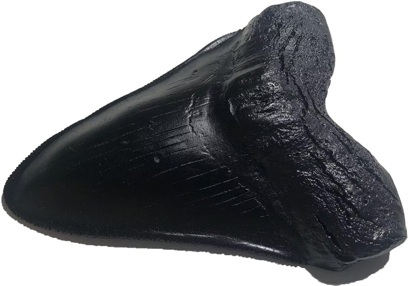 Megalodon Giant Shark Tooth Replica - Museum Quality Fossil Cast (Black) Black