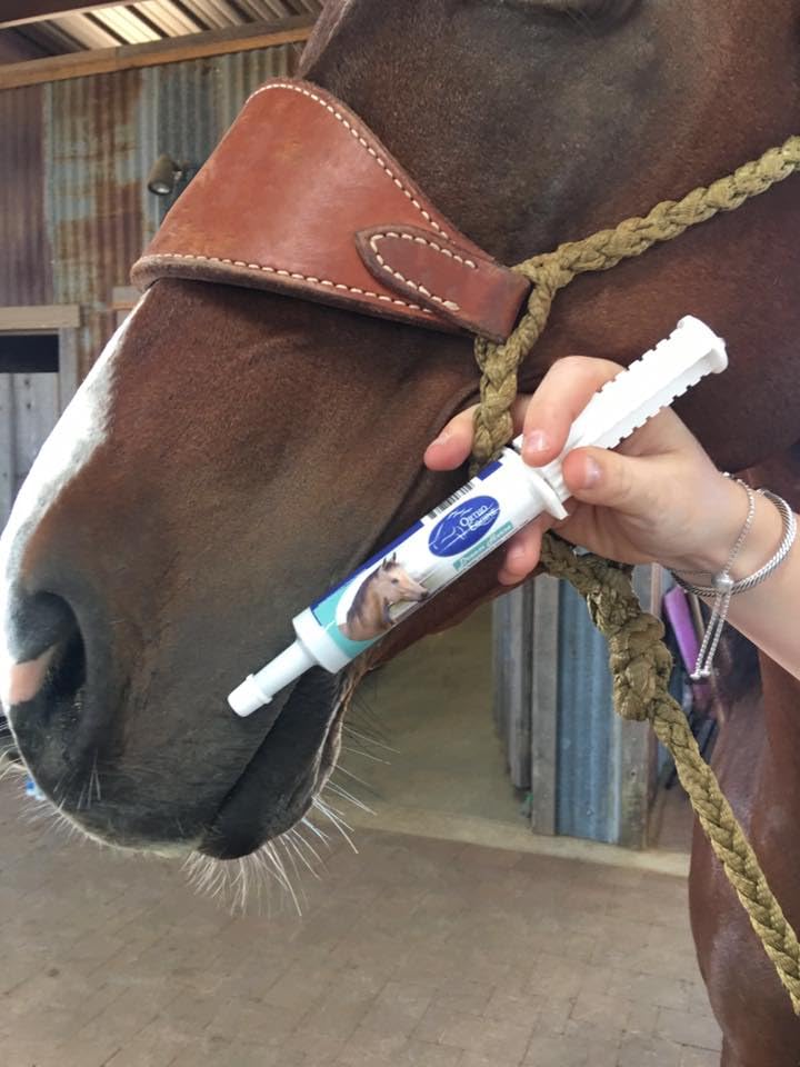 Calming Paste for Horses, Relaxation & Focus Support, 30ml | All-natural calming paste helps promote relaxation and focus during training, travel and competition events.