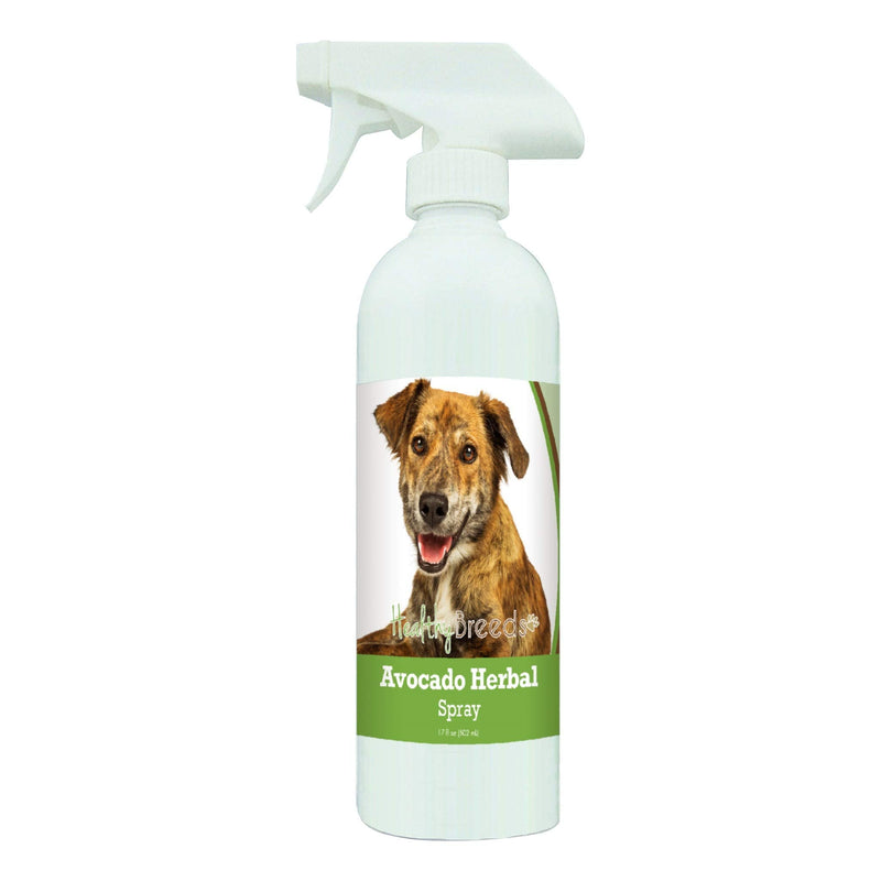 Healthy Breeds Plott Avocado Herbal Spray 17 oz