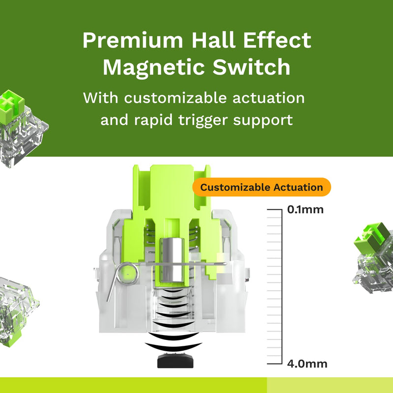 Glorious Raptor Clicky Hall-Effect Magnetic Switches (36-Pack), Transparent Housing, Pre-Lubed Click Bar, HE Hot-Swap Compatible, RGB-Optimized Raptor (Clicky) Standard