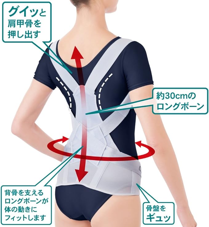 Alphax Posture Supporter, Doctor's Firm Back Belt, M-L Made in Japan - NewNest Australia