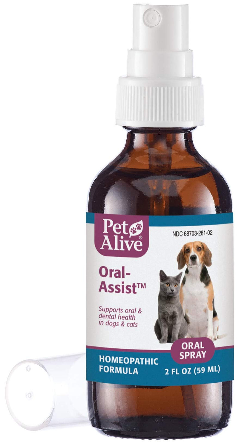 PetAlive Oral-Assist - Natural Homeopathic Formula Supports Oral and Dental Health in Dogs and Cats - Supports Healthy Teeth and Gums in Pets - 59 mL - PawsPlanet Australia