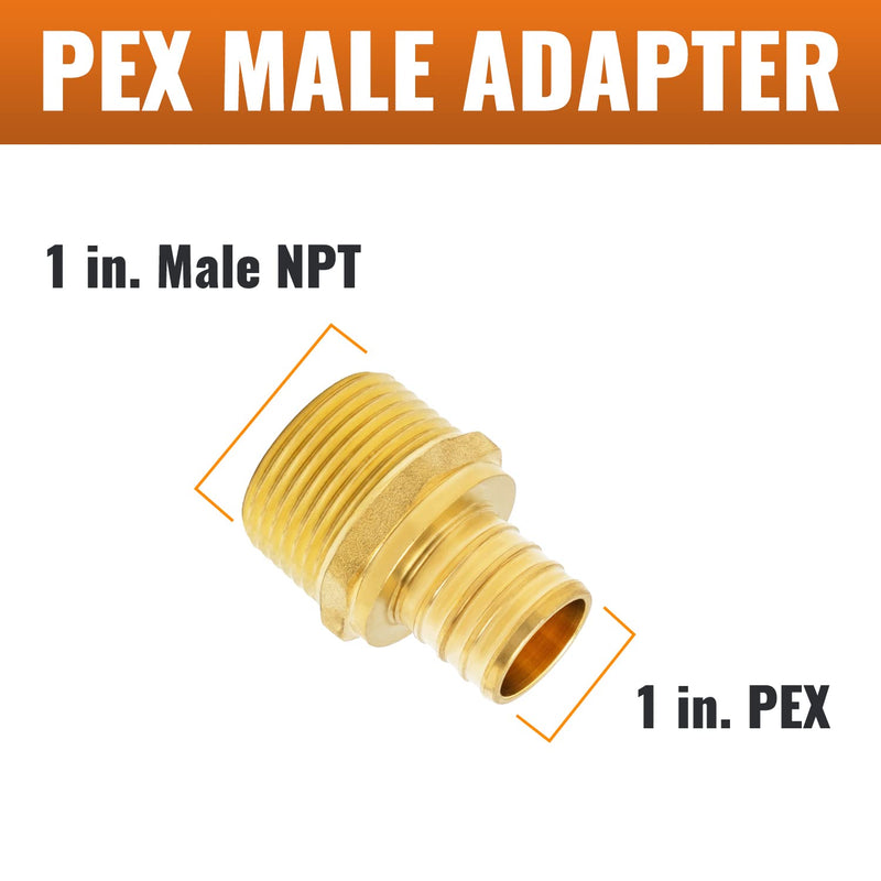 SUNGATOR 6-Pack 1" PEX to 1" NPT Male Adapter Fittings, Brass 1", 6 Pack
