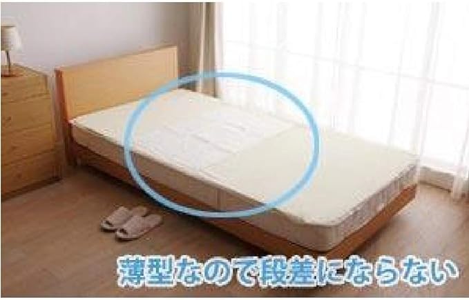 IRIS OHYAMA Waterproof Sheets Disposable FYL-30 Multicolor 30 Sheets - NewNest Australia