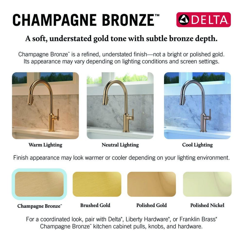 Delta Faucet 72010-CZ Flange and Strainer, Kitchen Sink, Champagne Bronze