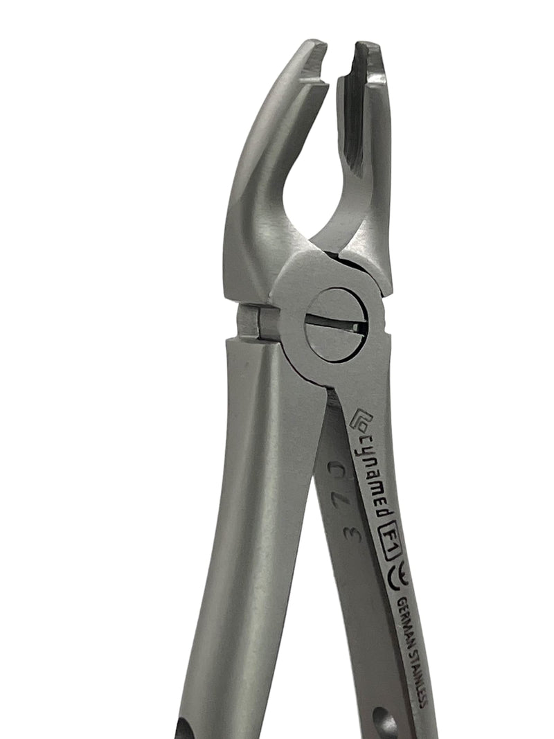 Dental Extracting Extraction Serrated Forceps F1, for Upper Anterior Region, Premium Quality Gold Handle, Stainless Steel