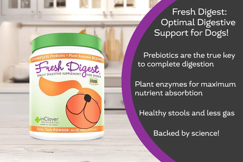 In Clover Fresh Digest Daily Digestive Aid and Immune Support Supplement for Dogs, All Natural Prebiotic and Enzyme Powder for Less Gas and Healthy Stools, Works Fast 100 gram (3.5 oz.) 3.5oz.