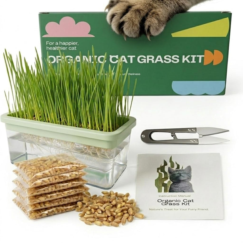 Hydroponic Cat Grass Kit with 6 Pack Non GMO Seeds & Scissors - Cat Grass for Indoor Cats, Helps Cat with Hairballs & Digestion, Easy 3-Step Setup (Food-Safe PP&AS, Plant 3-6 Times)