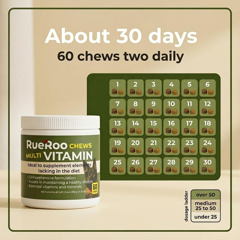 All-in-1 Multivitamin Chews for Dogs – Glucosamine, MSM, Salmon Oil, Turmeric, Mushrooms & Probiotics – Joint, Skin, Immune, Digestive & Energy Support – Puppies to Seniors – 60 Soft Chews