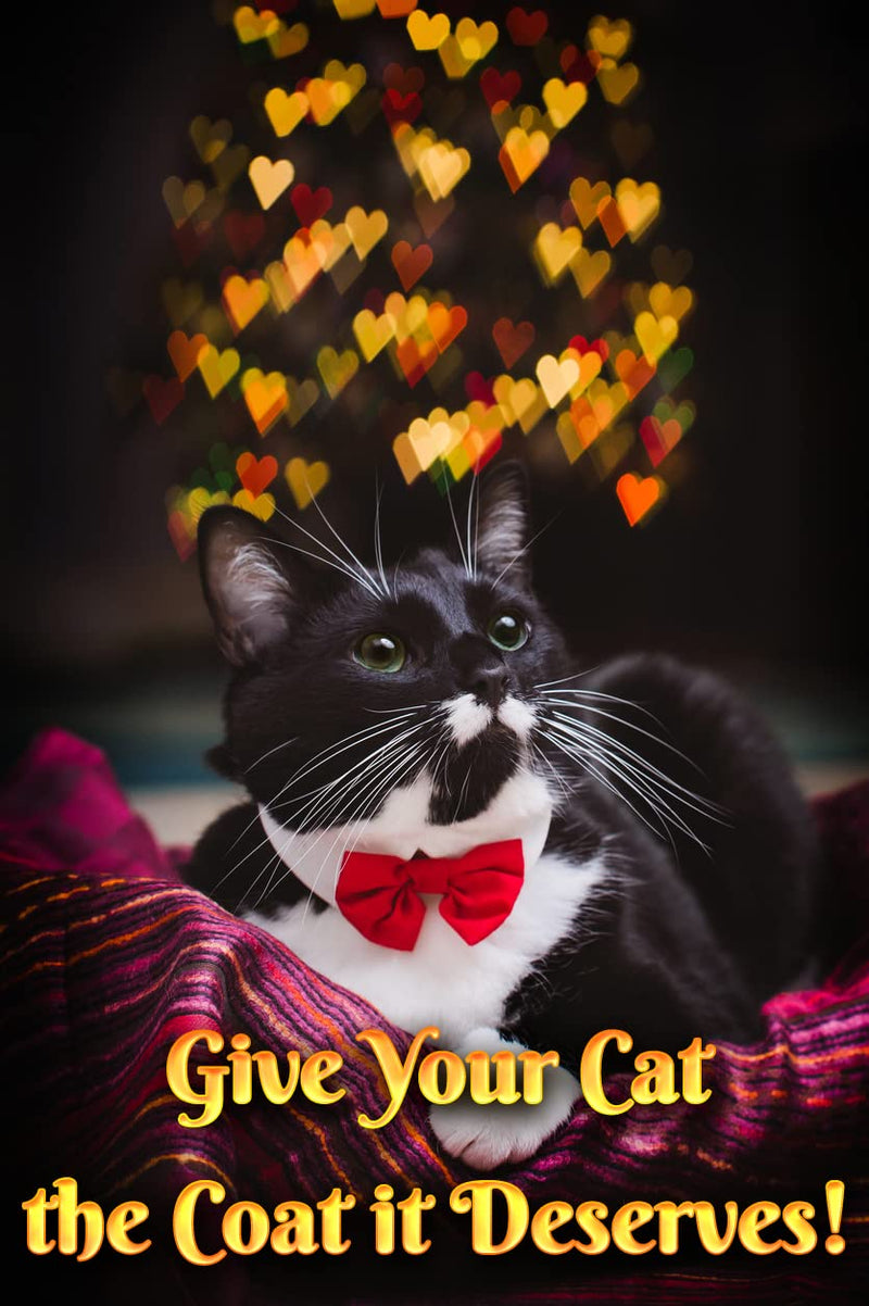 Fluffy Feline Cat Dandruff Care Spray - PawsPlanet Australia