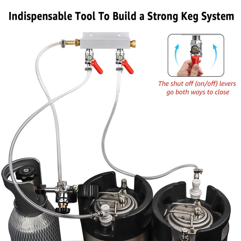 Gas Manifold, CO2 Gas Distributor, 5/16'' Barb Fitting Beer Kegerator Splitter, 2-Way Air Distributor with Integrated Check Valves & Hose Clamps Silver - NewNest Australia