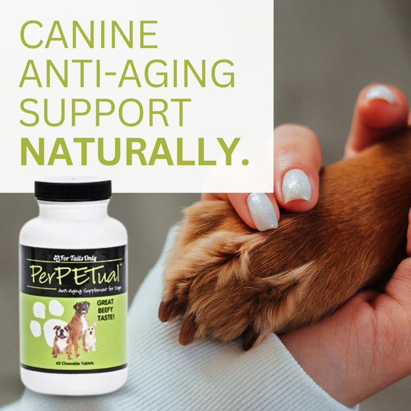 Youngevity Perpetual™ - Maximum Strength Anti-Aging Dog Bone & Joint Support - with Glucosamine, Choline, MSM, Milk Thistle, Calcium, Turmeric & More - 60 Chewable Tablets - PawsPlanet Australia