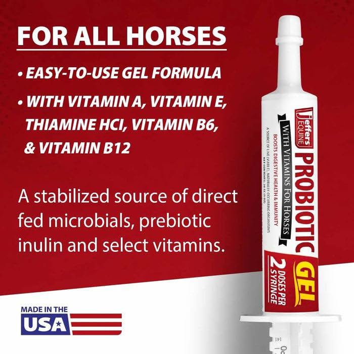 Jeffers Equine Probiotic Oral Gel for Horses, 30 cc Syringe – Supports Healthy Gut, Natural Appetite & Digestion, Horse Supplement w/Prebiotics, Live Microbials (30M CFU), Vitamins A B E, USA Made 1 Pack