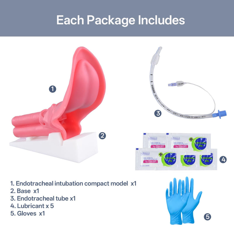Silicone Endotracheal Intubation Human Model, Intubation Manikin Simulator with endotracheal Tube, Intubation Model for Science Education/Practice/Study