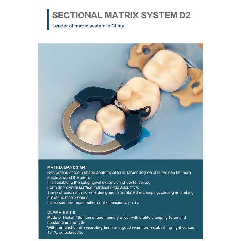 Dental Sectional Matrix Ring Clamp Spring Clip, Autoclavable Nickel Titanium Orthodontic Clamp Rings, Contoured Matrices System for Pre and Post Molars. (R6 QIANLV) R6 QIANLV