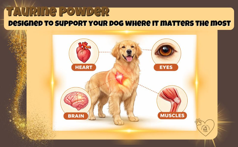 Taurine for Dogs - Taurine Powder Supplement, 144 Servings, 500mg, Heart, Brain, Eyes, Muscle, Energy, and Growth, (6oz)