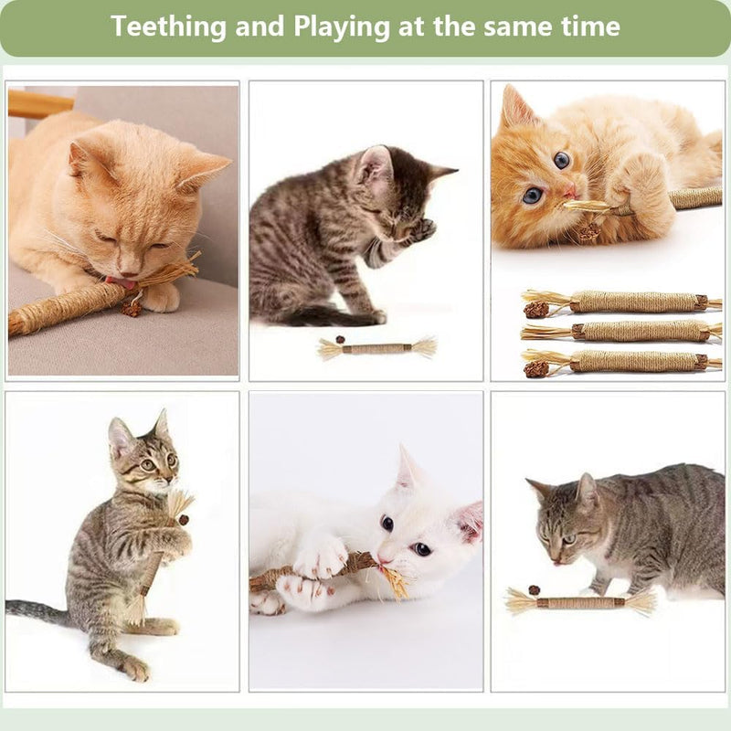 5 PCS Silvervine Sticks for Cats - Natural Cat Chew Toys for Teeth Cleaning, Kitten Teething & Aggressive Chewers 5 Pack