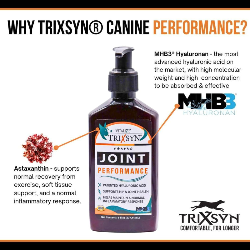 Canine Performance - Dog Hip & Joint Supplement - Enhance Joint Pain Relief for Small, Large & Senior Dogs - Patented MHB3 Hylauronan Liquid Formula - 72 Day Supply - PawsPlanet Australia