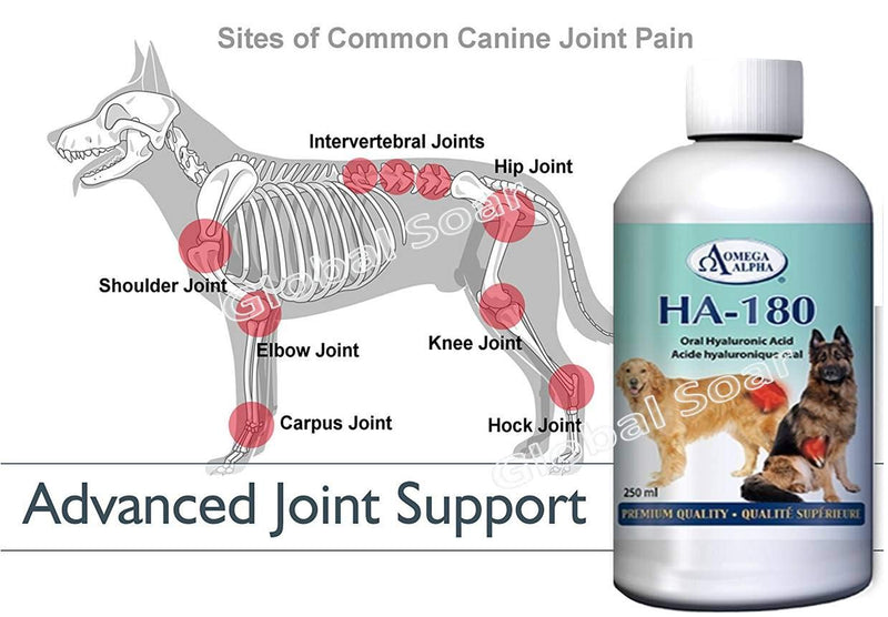 Omega Alpha HA-180 (Hyaluronic Acid) for Pets-250ml - PawsPlanet Australia