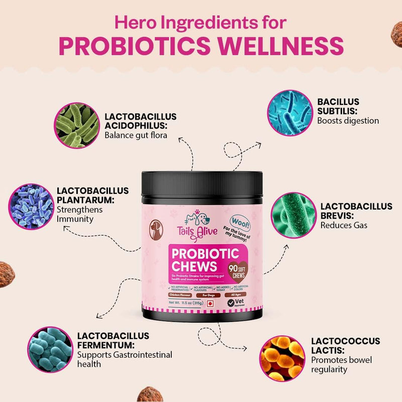 Probiotic Soft Chews Supplement for Dogs | Six Probiotic Strains for Gut Health & Digestion | Chicken Flavor | Supports Immune Function | 90 Soft Chews