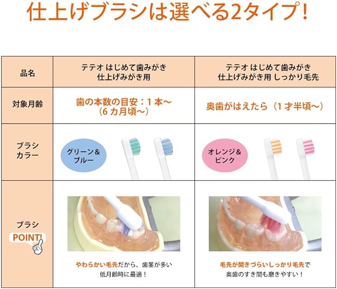 Combi Teteo First-Time Toothbrush for Finishing Brushing, Firm Ends, 2 Pieces - NewNest Australia