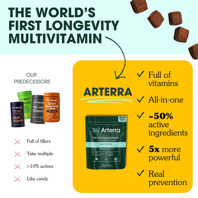 Arterra Longevity Multivitamin for Dogs – 50% Active Ingredients – Vet-Formulated Daily Soft Chews for Gut, Brain, Joint & Immune Health – Human-Grade Supplement | 120 Count Large