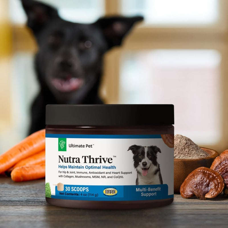 ULTIMATE PET NUTRITION Nutra Thrive™ Canine 40 in 1 Nutritional Supplement for Dogs, Powder Supplement for Dogs, Digestion and Immune Support, Vitamins, Minerals, Probiotics, Enzymes, 30 Servings - NewNest Australia
