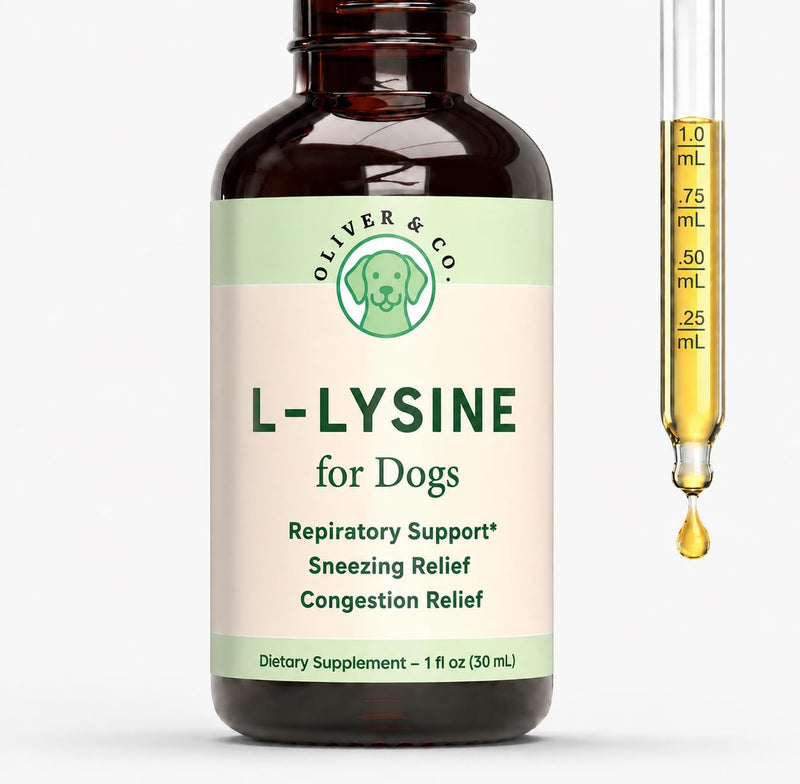 Lysine for Dogs - Dog Sneezing Relief - Dog Allergy Relief - May Help with Respiratory Health, Sneezing, Runny Nose & Much More - L-Lysine for Dogs - 1 fl oz - Bacon Flavor