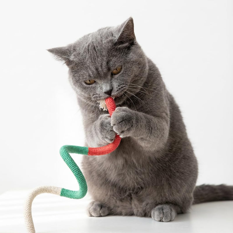 Cat Chew Rope Toys for Teeth Cleaning, 3 Pack 23.6" Kitten Teething Toys, Pure Cotton Braided Rope with Plush Balls & Tassels, Catnip-Free