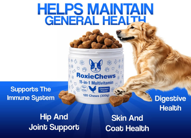 11-in-1 Dog Multivitamin Chews | Hip & Joint Support, Skin & Coat, Immune, Digestive & Heart Health | Chicken Flavor Supplement for Dogs | 120 Soft Chews, 300g