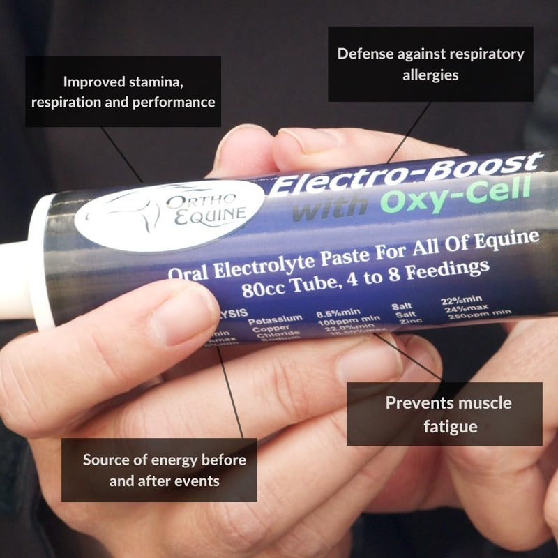 Electro-Boost 80ml Oral Electrolyte Paste with Oxy-Cell – Sugar-Free Energy & Hydration Support for Horses, Improves Stamina, Respiration & Performance