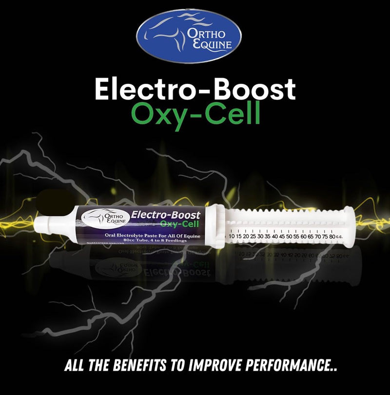 Electro-Boost 80ml Oral Electrolyte Paste with Oxy-Cell – Sugar-Free Energy & Hydration Support for Horses, Improves Stamina, Respiration & Performance