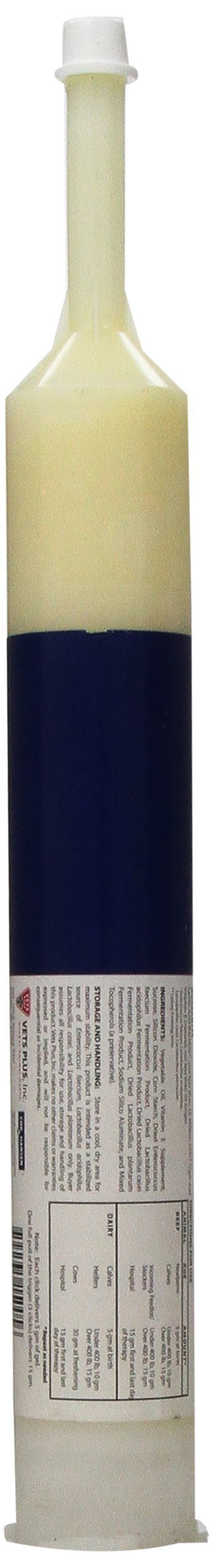 Probios Bovine One Oral Gel for Ruminants Plus Natural-E Tube, 300cc - PawsPlanet Australia