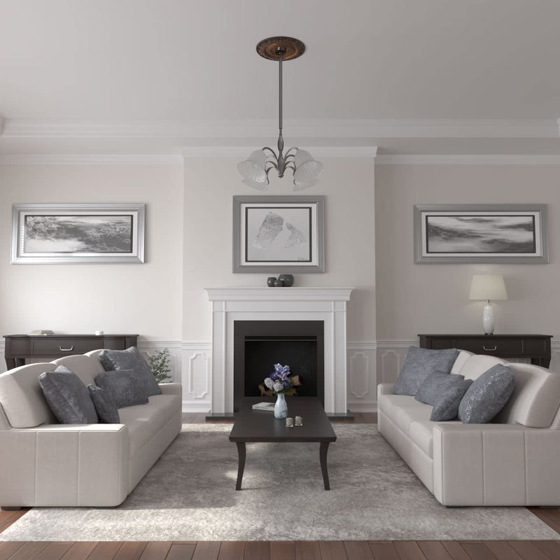 Ekena Millwork CM20BXRUS Biddix Ceiling Medallion, Rust Rust (Metallic Series)