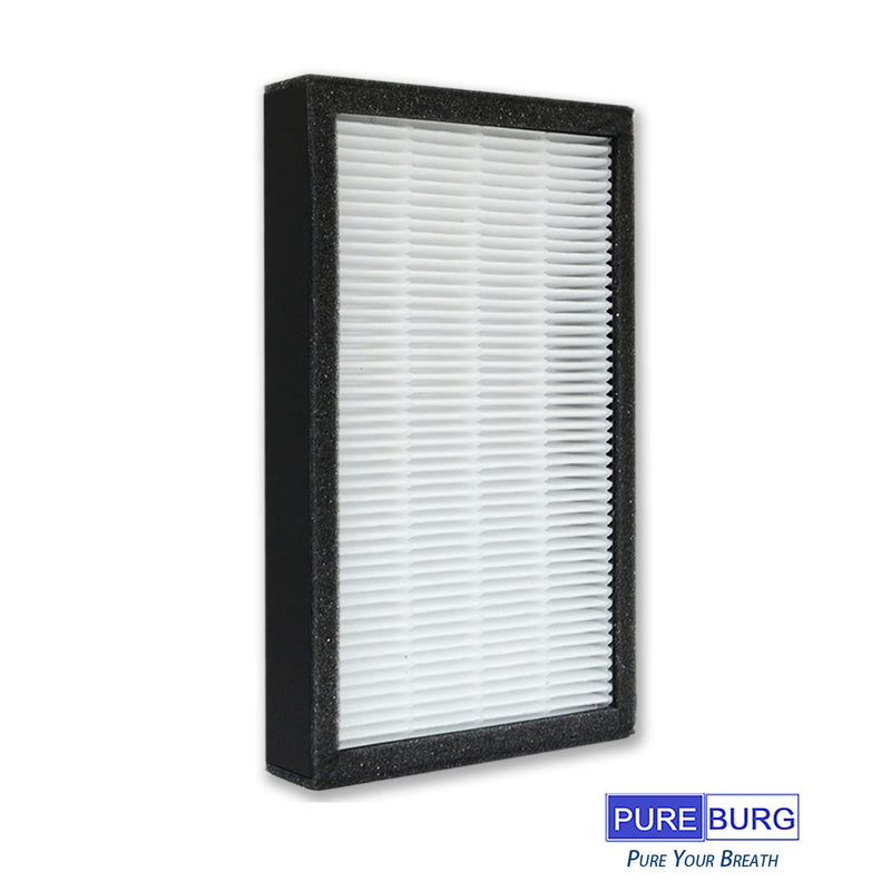 PUREBURG FLT4100 Filter E Compatible with GermGuardian AC4100 Air Purifier