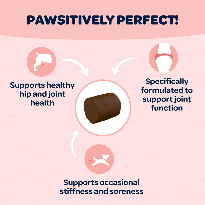 Hip and Joint Chews for Dogs | Dog Glucosamine Chews for Comfort & Mobility with Chondroitin MSM & Turmeric | Dog Joint Supplement for All Ages & Sizes | NASC Certified & Made in The USA | 90 Chews Hip and Joint 90 Count