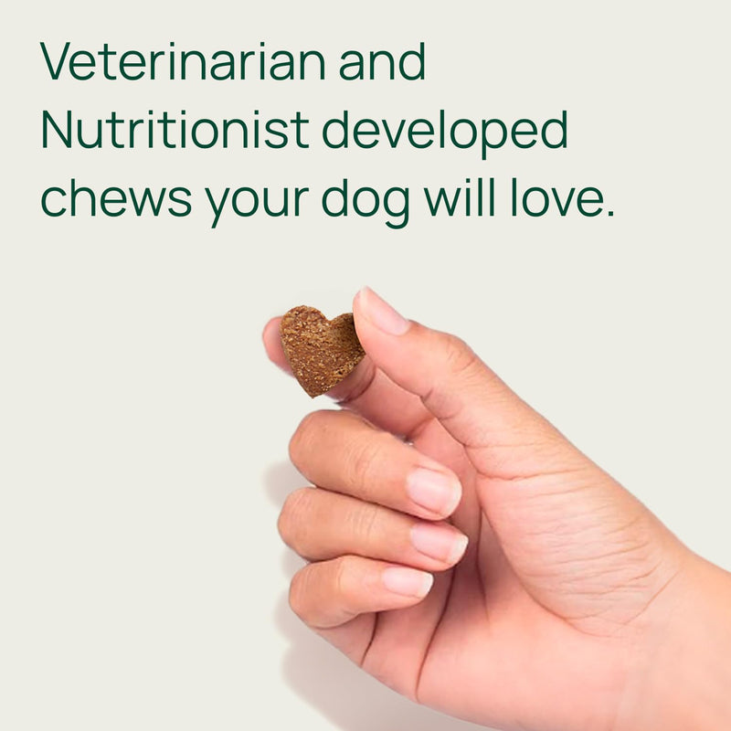 pawTree Joint & Hip Support Supplement for Dogs & Cats with Glucosamine, Chondroitin, MSM, Tumeric & Green Lipped Mussels - Vitamins & Health Essentials - All-Natural Mobility Soft Chews Small Dogs - PawsPlanet Australia