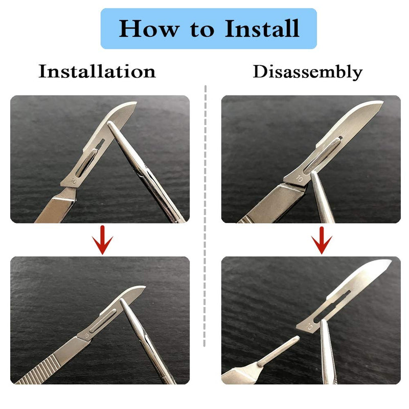 Scalpel Sterile Blades #10 10pcs Sterile Individually Foil Wrapped, with #3 Scalpel Knife Handle for Biology Lab Anatomy, Practicing Cutting, Medical Student, Sculpting, Repairing #10-10PCS