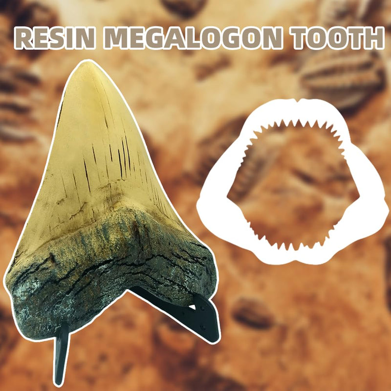 Resin Megalodon Shark Tooth 5.5 Inch Model, OUOQUQ Fake Shark Teeth Fossils Replica with Vertical Display Stand for Table Shop Ornament Office (Neoteric) Neoteric