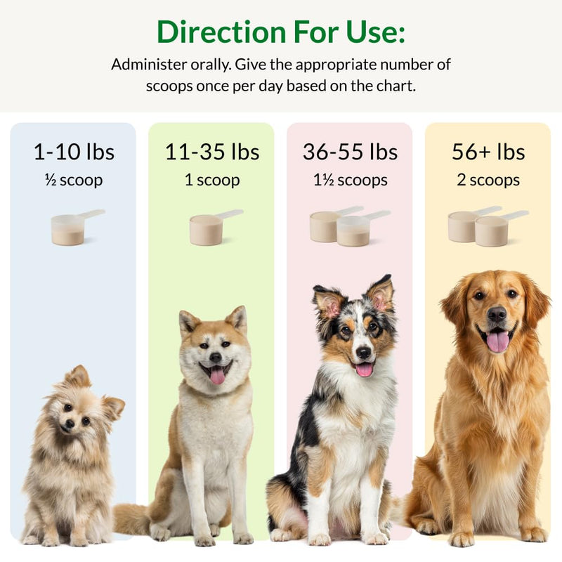 Ultimate Pet Nutrition Nutra Thrive Canine, 40-in-1 Nutritional Powder Supplement for Dogs with Digestion and Immune Support, Vitamins, Minerals, Probiotics, Enzymes, 30 Scoops Pack of 1