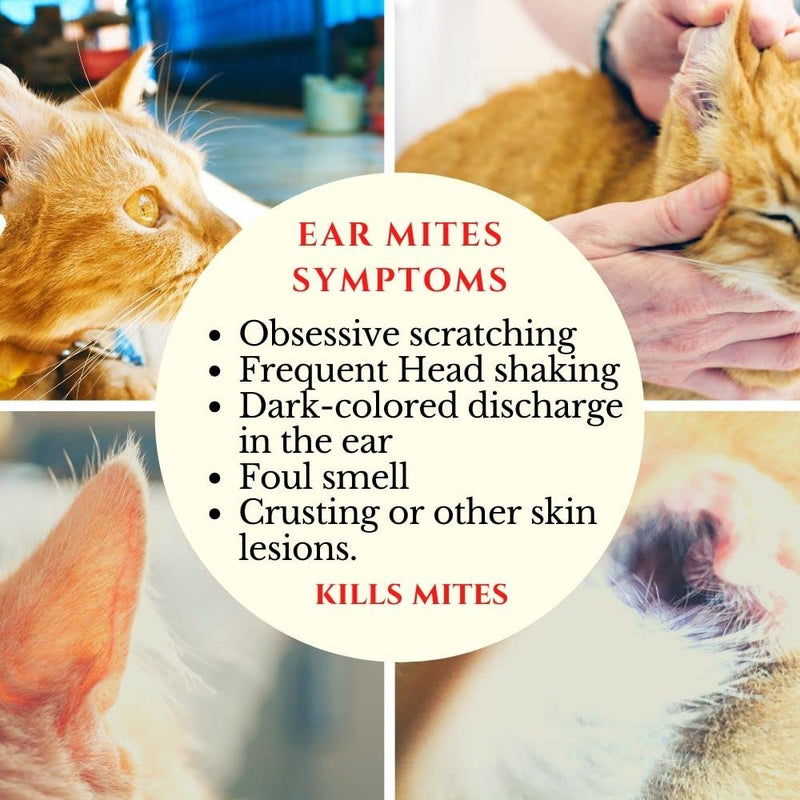 Petglow Ear Mite Treatment for Cats. Organic Herbal Drops Cat Ear Infection Cleaner for Mites. - PawsPlanet Australia